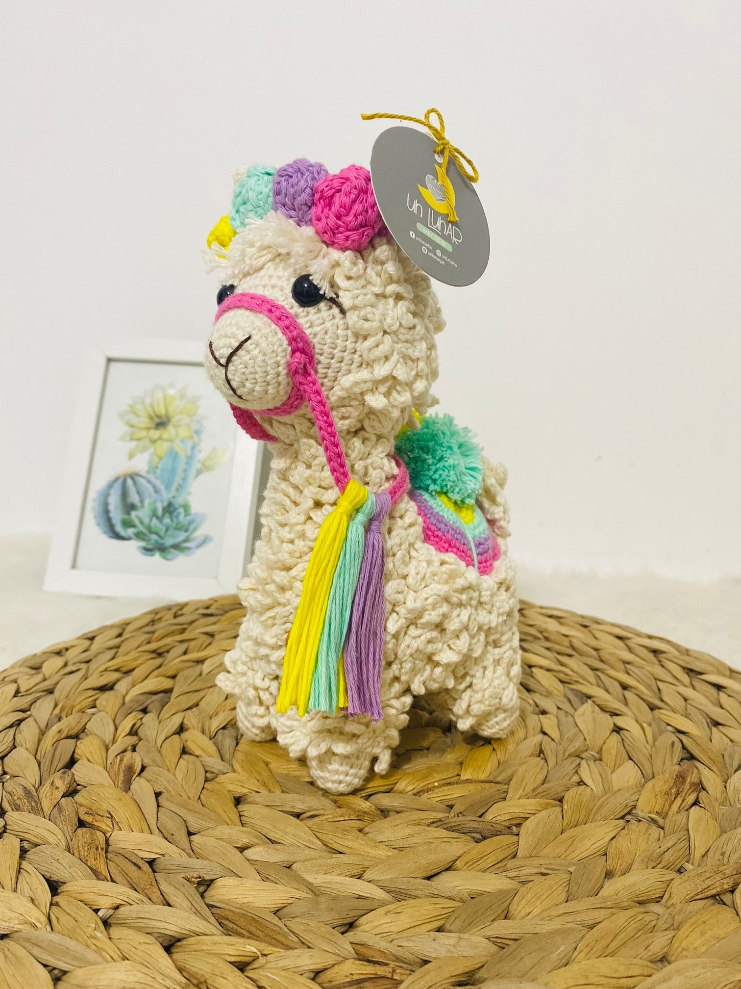 Alpaca Arco Iris Un Lunar